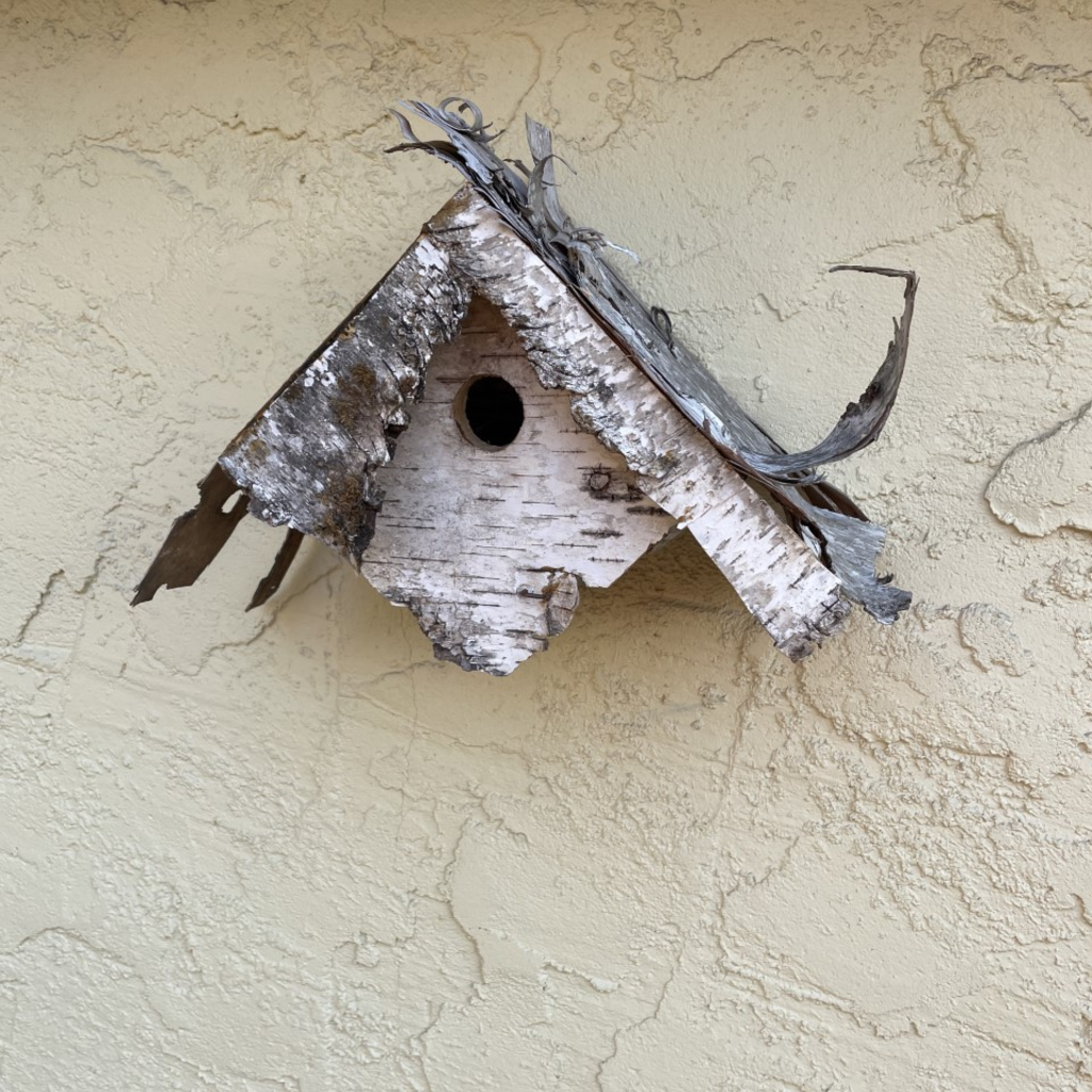 Karl Markgraf Birch Bird House (Assorted)