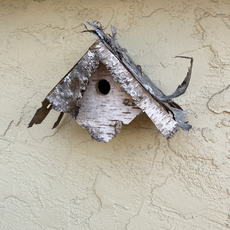 Birch Bird House (Assorted)
