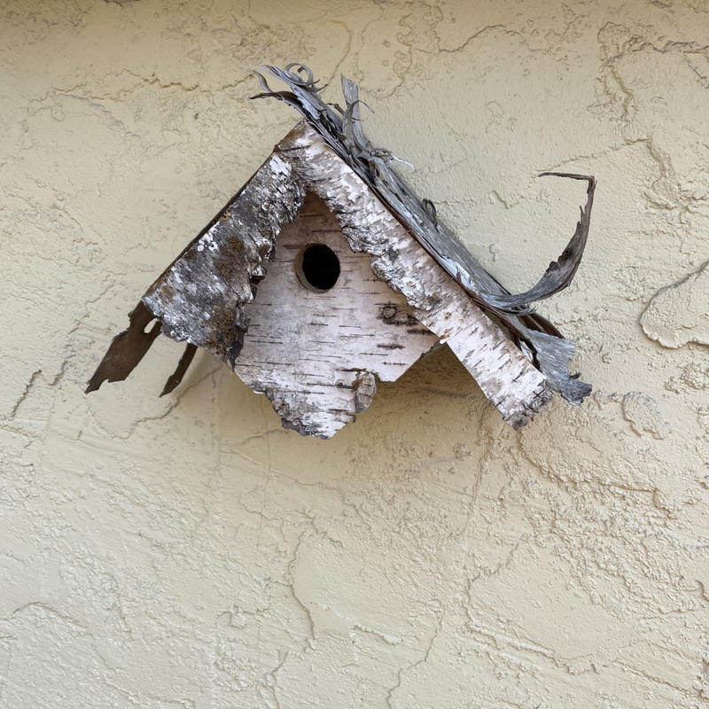 Birch Bird House (Assorted)