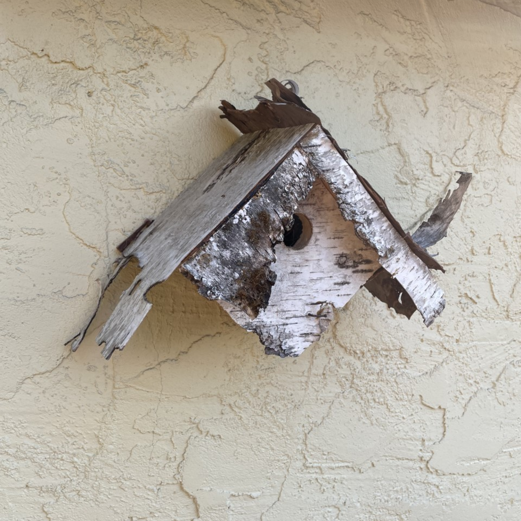 Karl Markgraf Birch Bird House (Assorted)