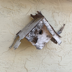 Birch Bird House (Assorted)