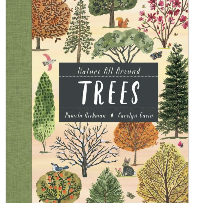 Nature All Around Trees