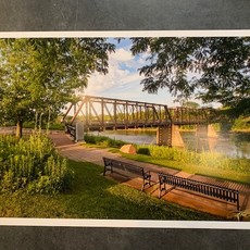 Lloyd Fleig 12x18 - Summer Shadows