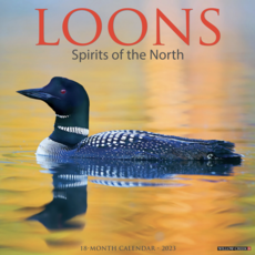 Volume One 2023 Calendar - Loons