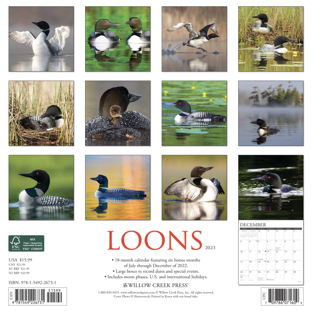 Volume One 2023 Calendar - Loons