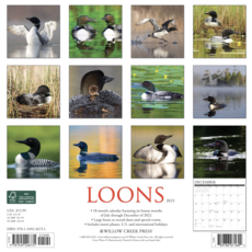 Volume One 2023 Calendar - Loons