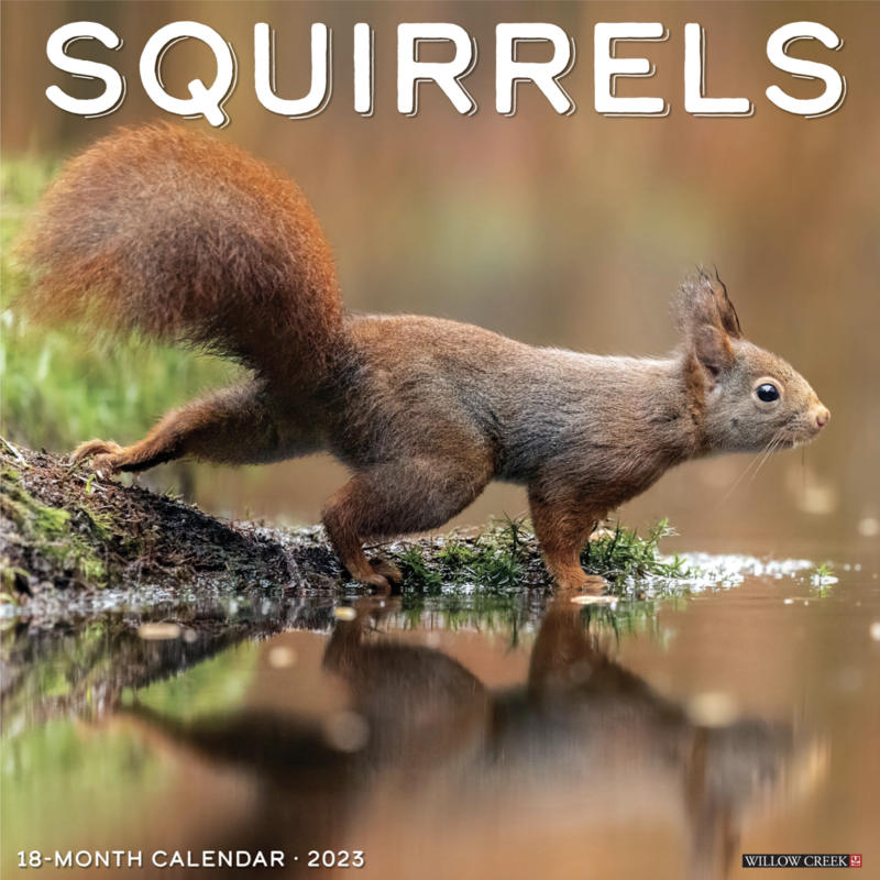 Volume One 2023 Calendar - Squirrels