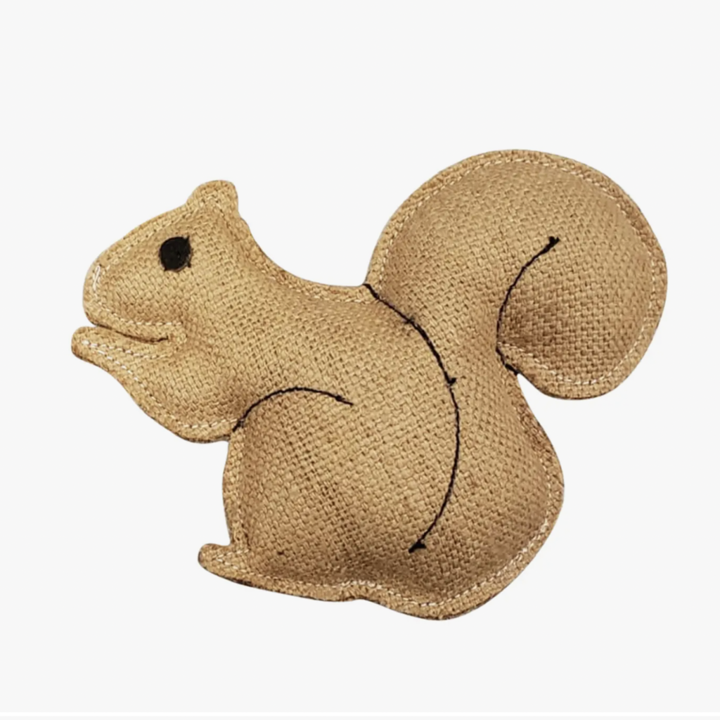 Squirrel Dog Chew Toy
