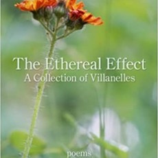 Jeannie E Roberts The Ethereal Effect