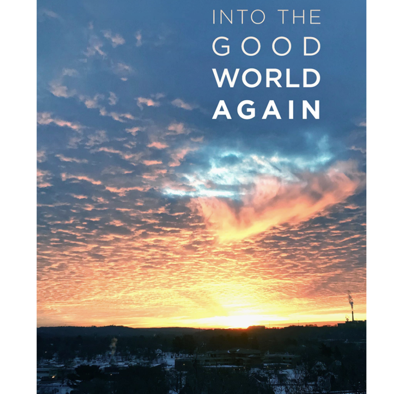 Max Garland Into the Good World Again (poems)