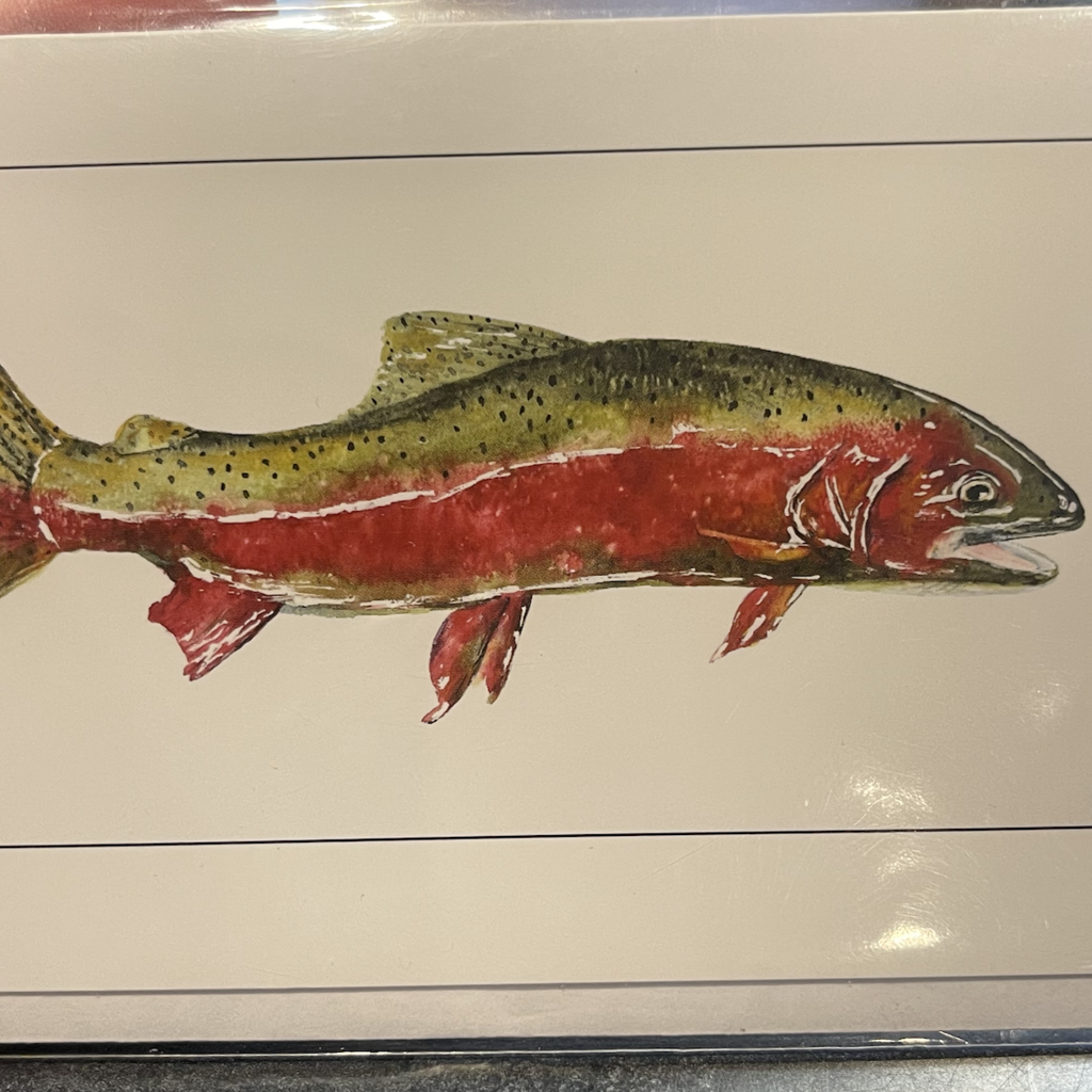 Amy Beidleman Rainbow Trout Greeting Card