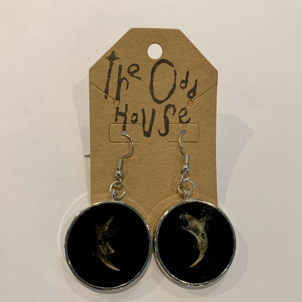 Earrings - Mouse Jaws with Resin