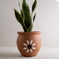 Foreside Home and Garden Floret Terracotta Planter