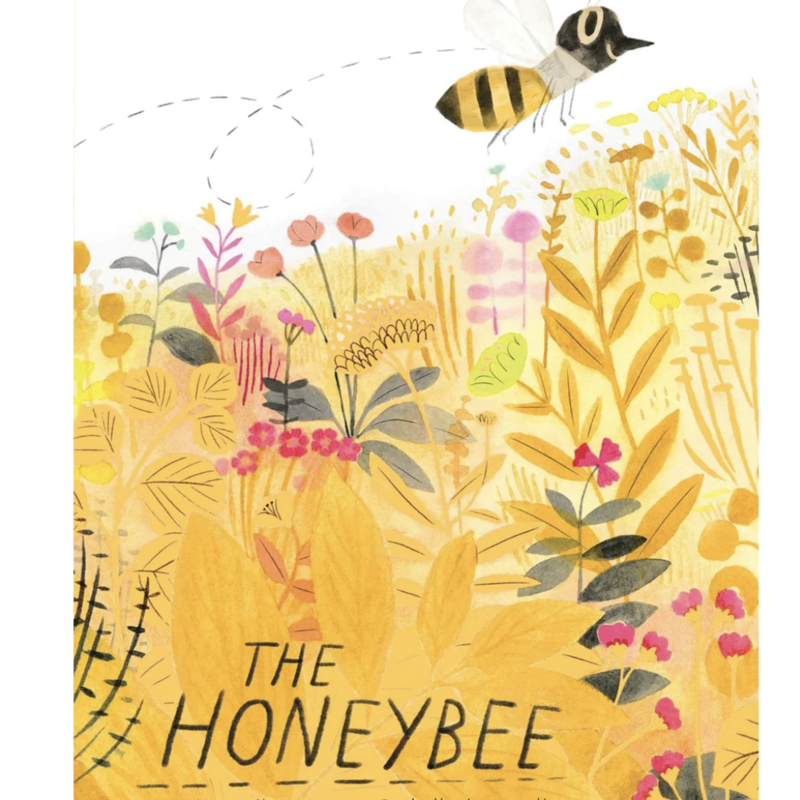 Hall Kirsten The Honeybee