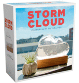 Ingram Storm Cloud