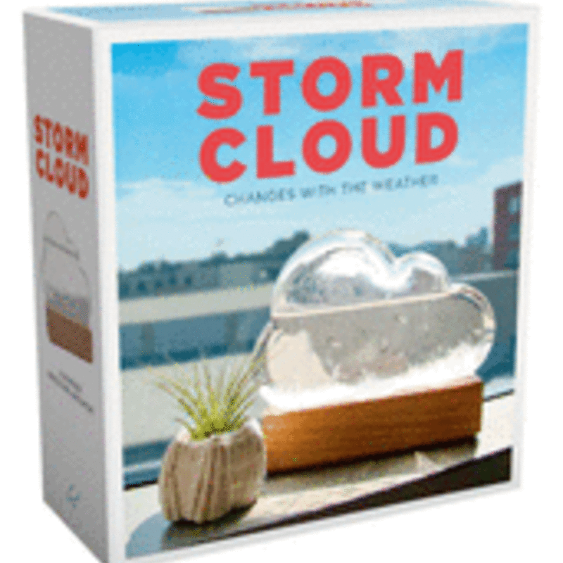 Ingram Storm Cloud