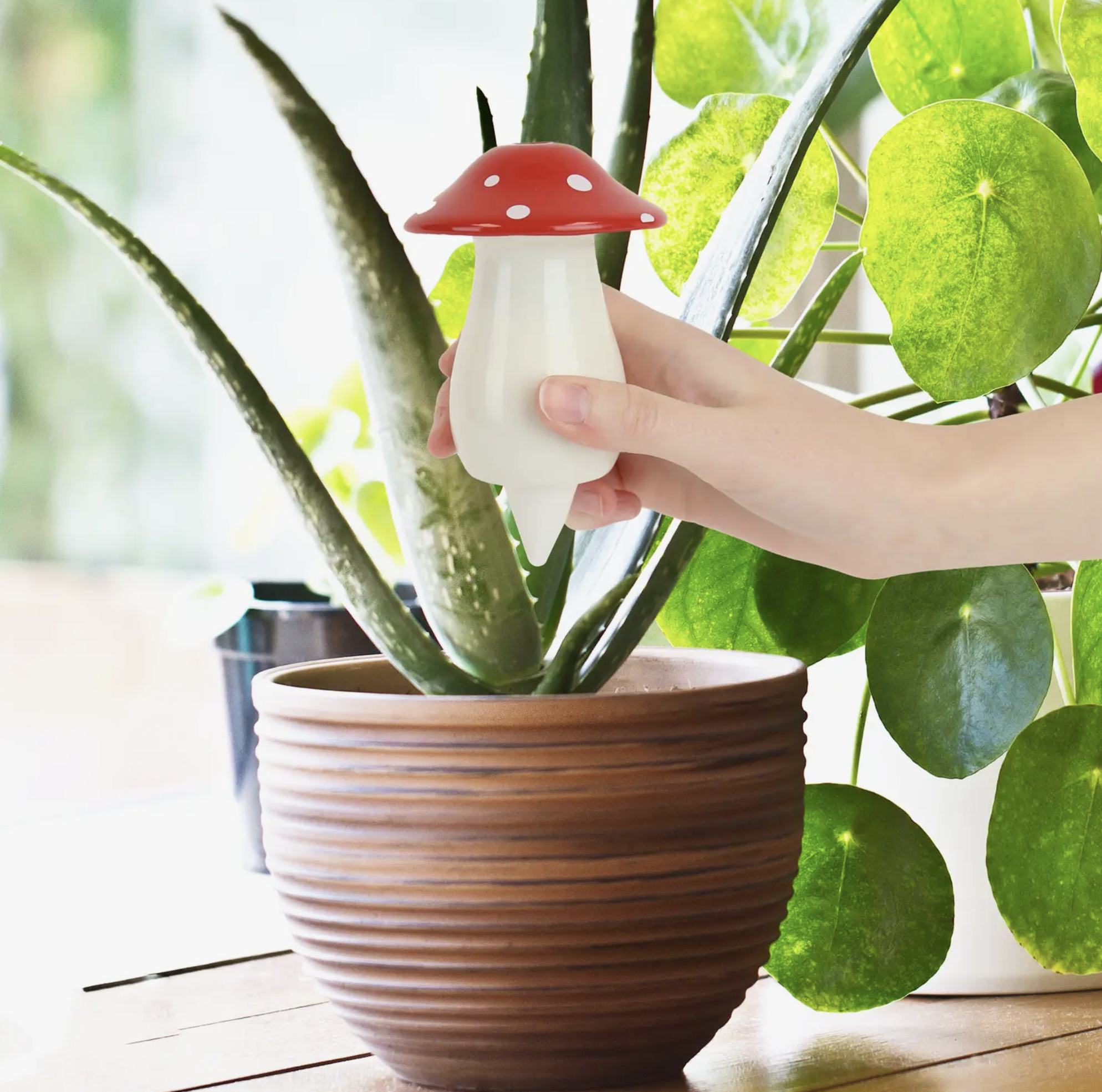 Self-Watering Pot: Small - SFMOMA Museum Store