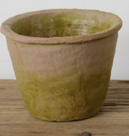 Mossy Terracotta Pot