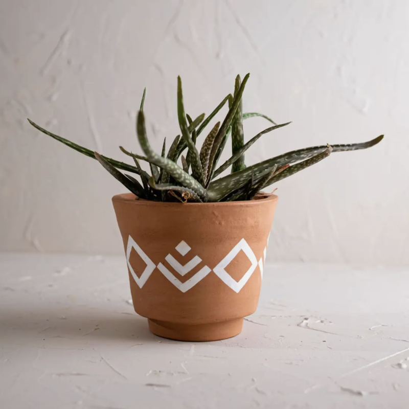 Sage Terracotta Planter