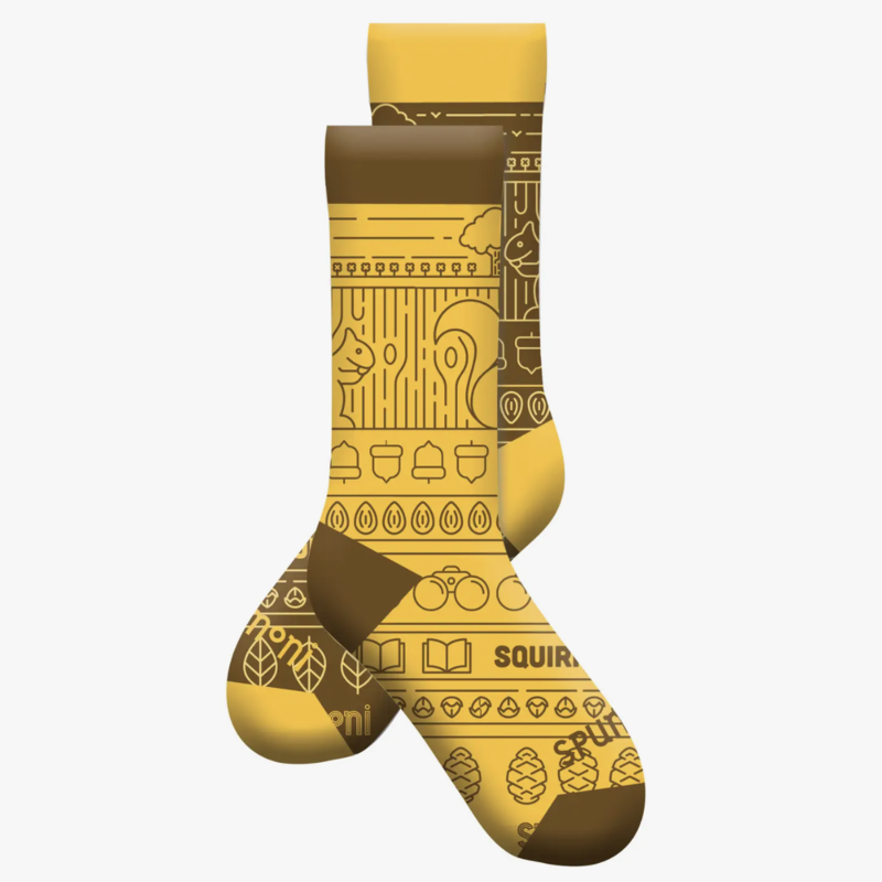 Gibbs Smith Squirreling Around Socks