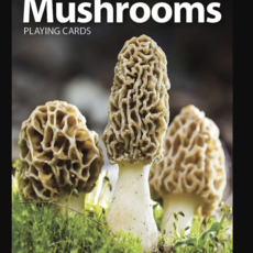 AdventureKEEN (Faire) Playing Cards: Mushrooms