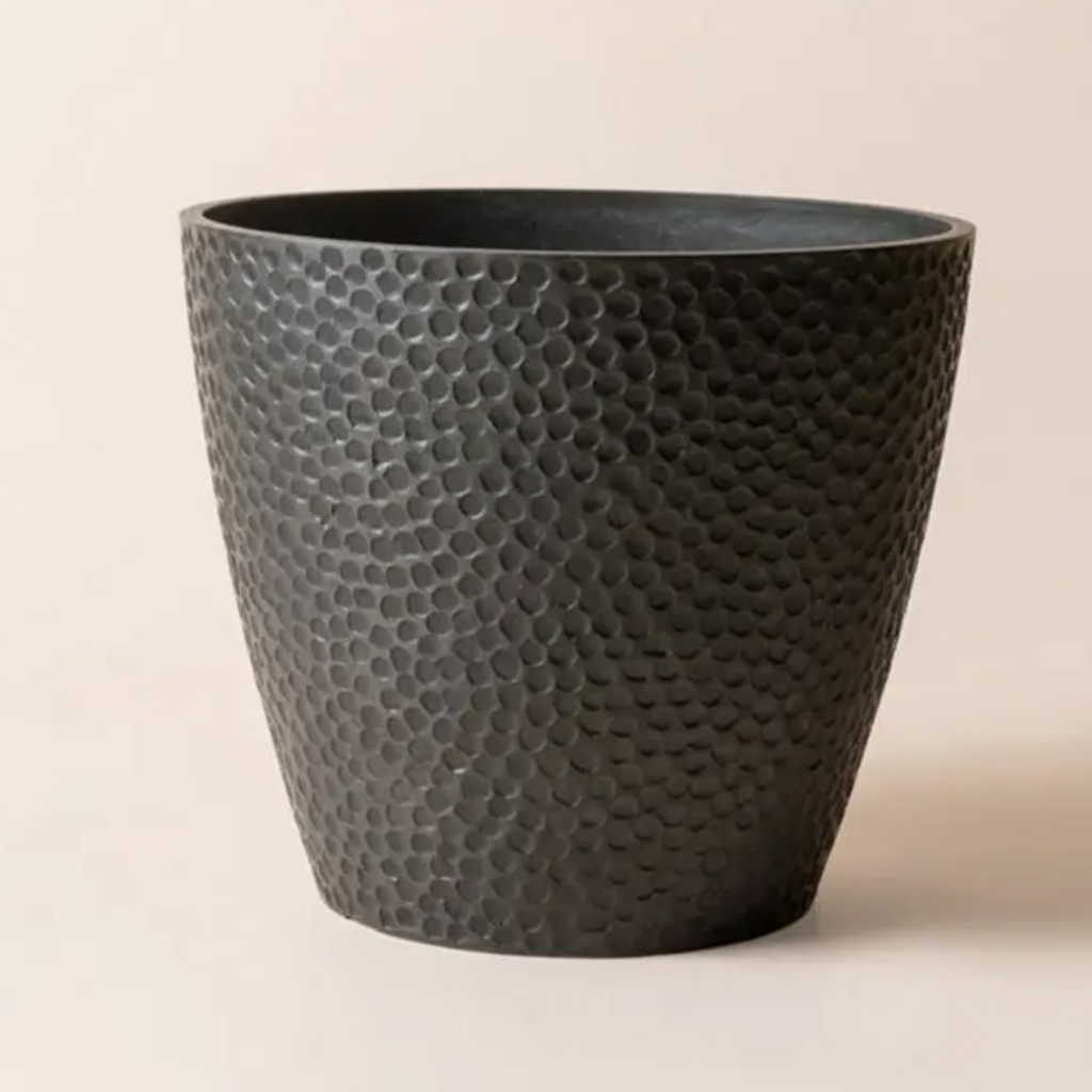 Bee Black Pot - 14"