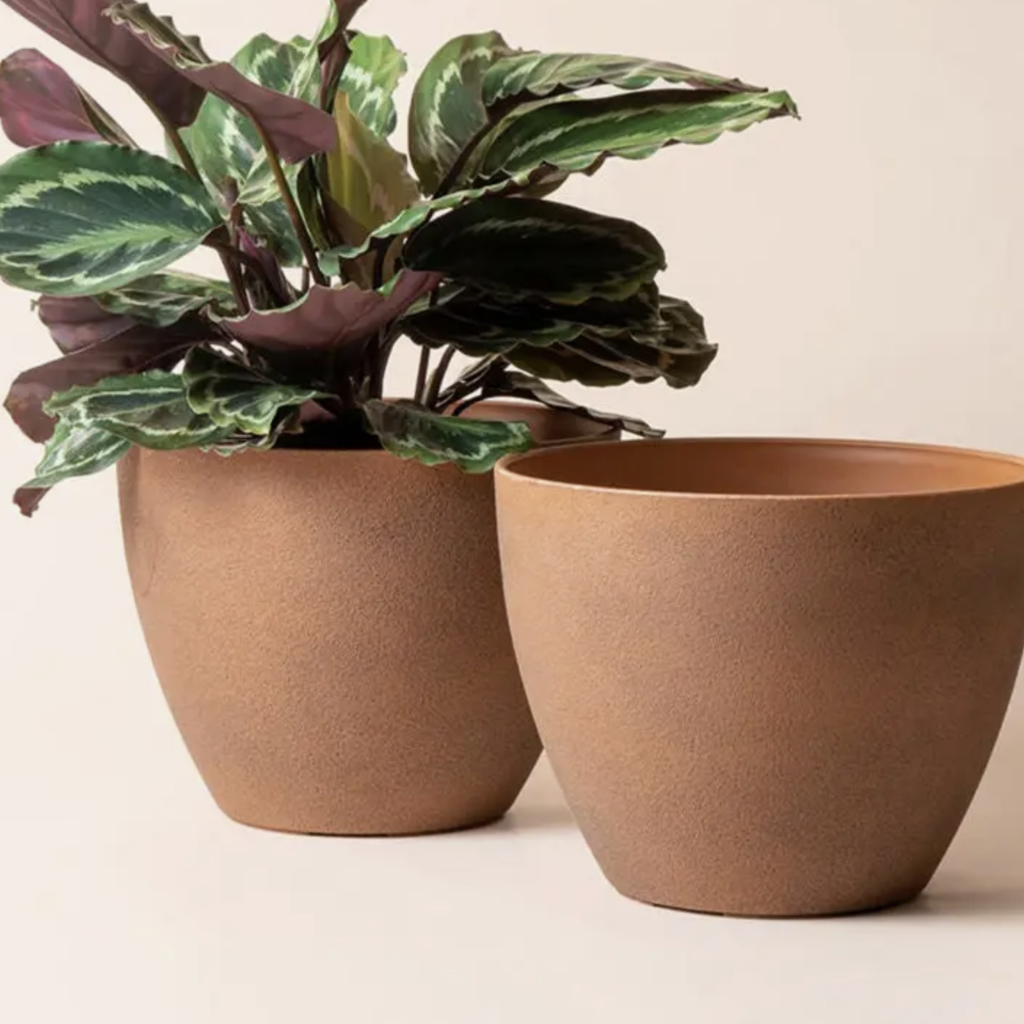 La Jolie Muse Tuileries Terracotta Pot 11.3" -