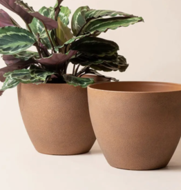 La Jolie Muse Tuileries Terracotta Pot 11.3" -