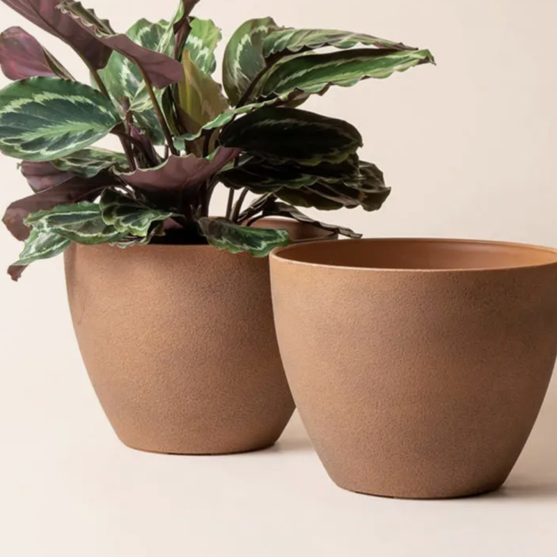 Tuileries Terracotta Pot 11.3" -