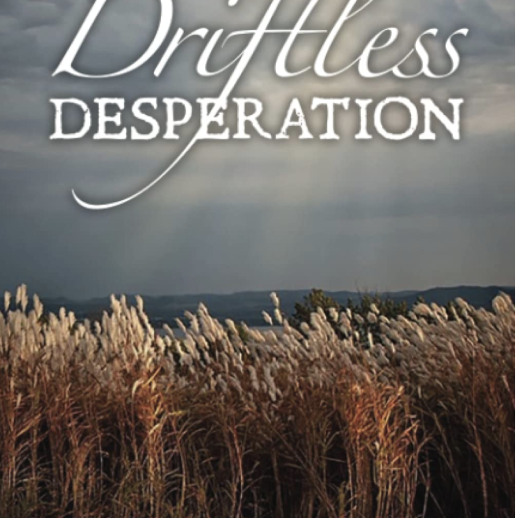 Sue Berg Driftless Desperation
