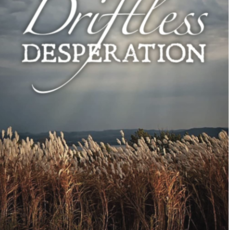 Berg Sue Driftless Desperation