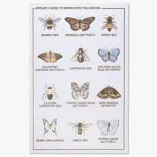 Midwestern Pollinators Poster