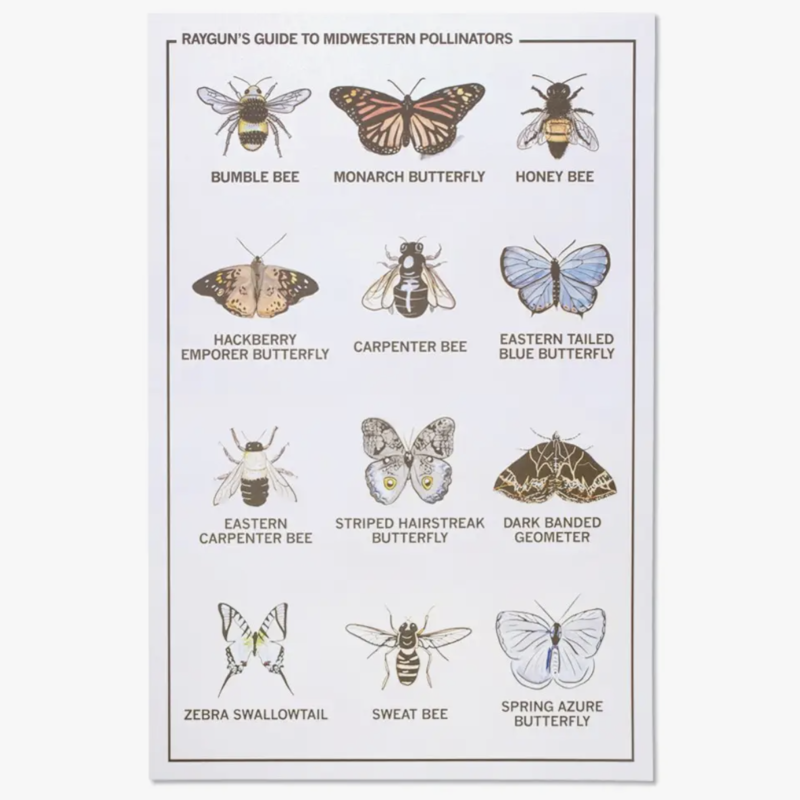 Midwestern Pollinators Poster