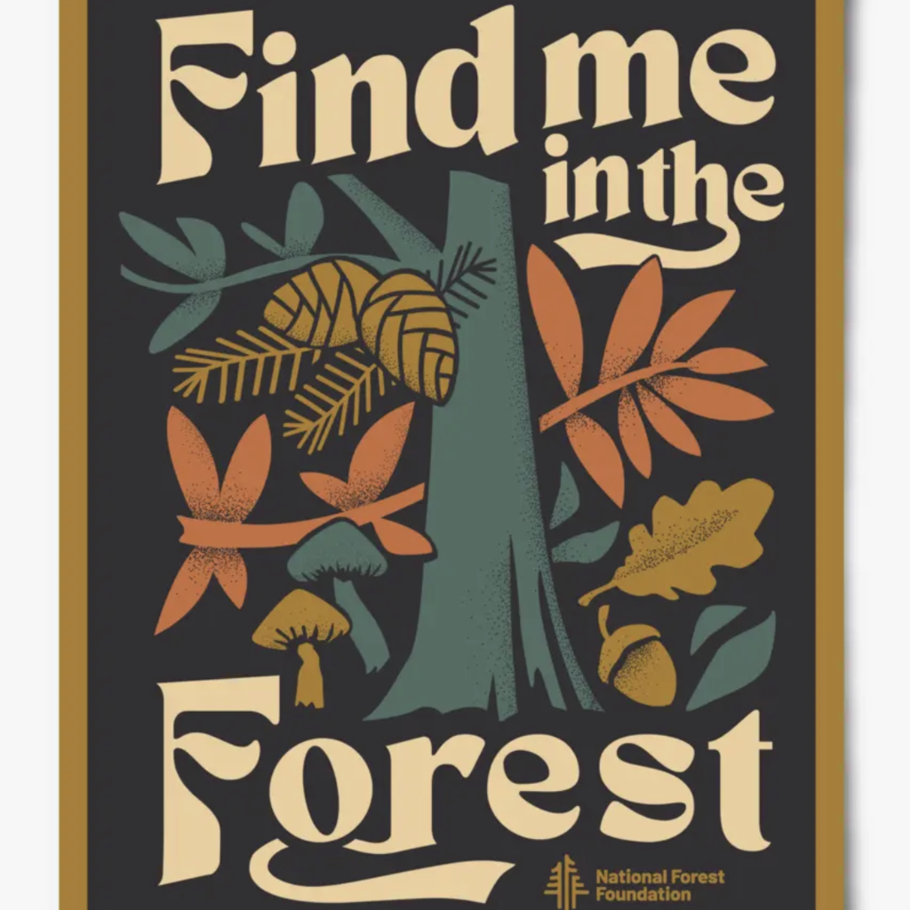 Find me in the Forest - 12 x 16 Poster