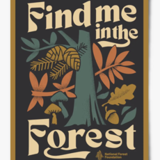 Find me in the Forest - 12 x 16 Poster