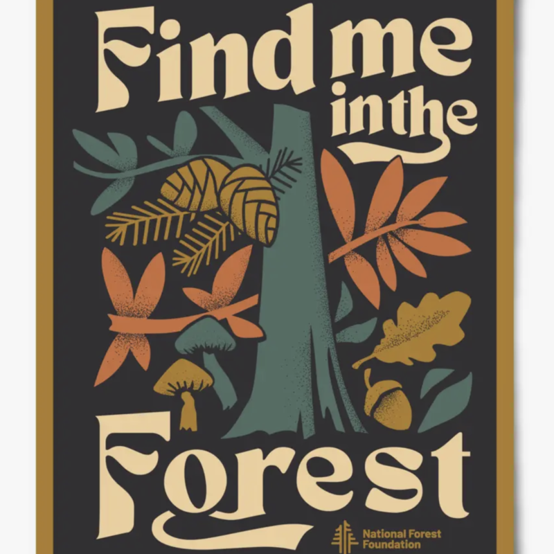 Find me in the Forest - 12 x 16 Poster