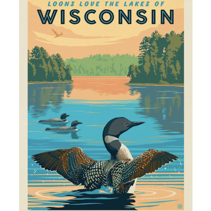 Wisconsin Loons Print 8x10