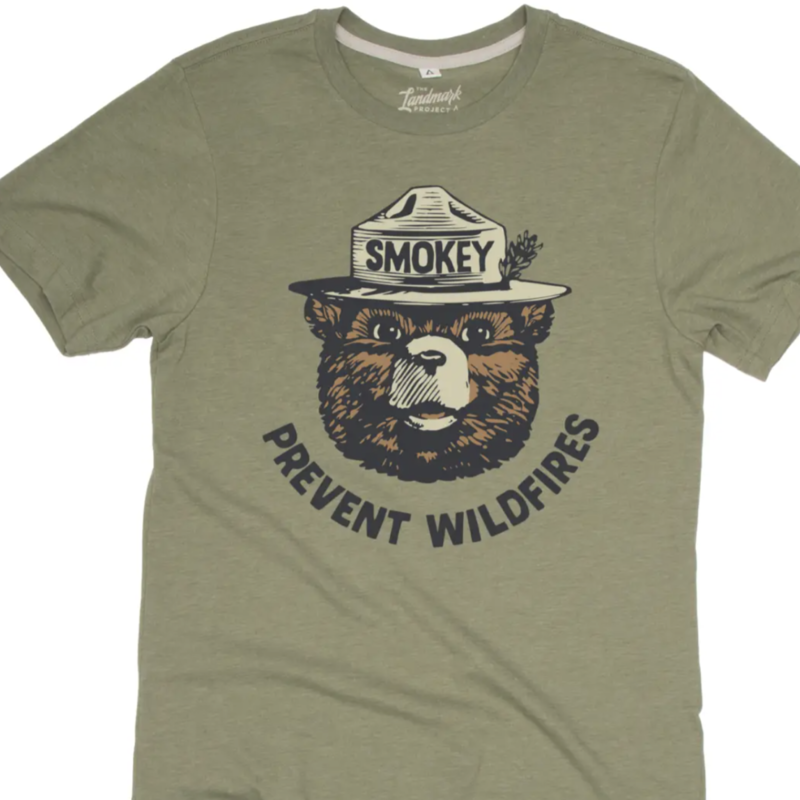 The Landmark Project Smokey Retro Tee - Sage