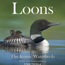 Stan Tekiela Loons: The Iconic Waterbirds