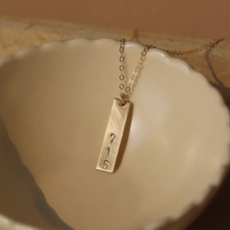 Token (Faire) Token Jewelry - Area Code Necklace - 18", Sterling Silver