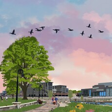 Matt Schrupp 20x30 Confluence Print