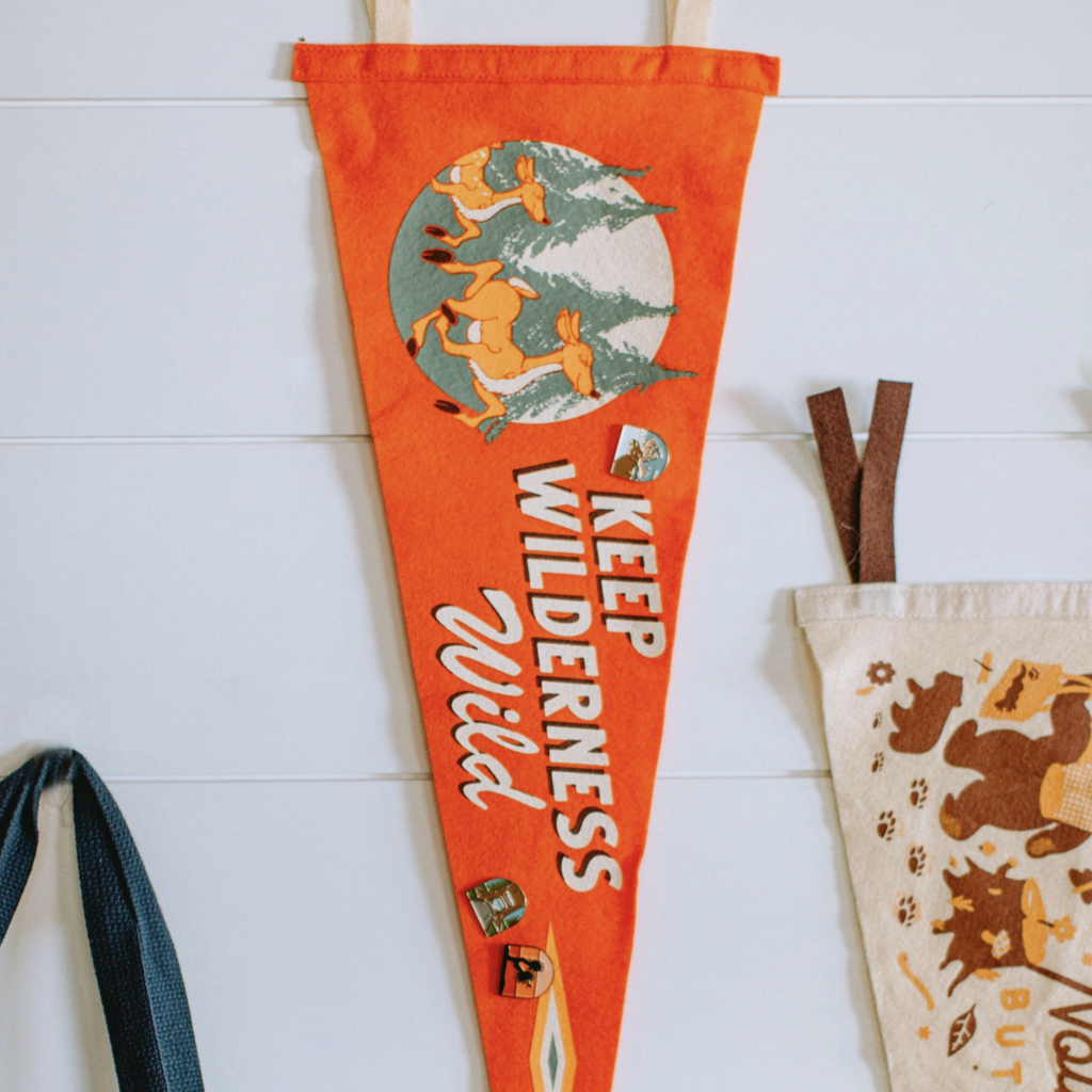 Keep Wilderness Wild Pennant