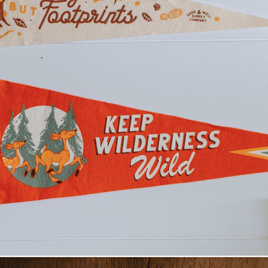 Keep Wilderness Wild Pennant