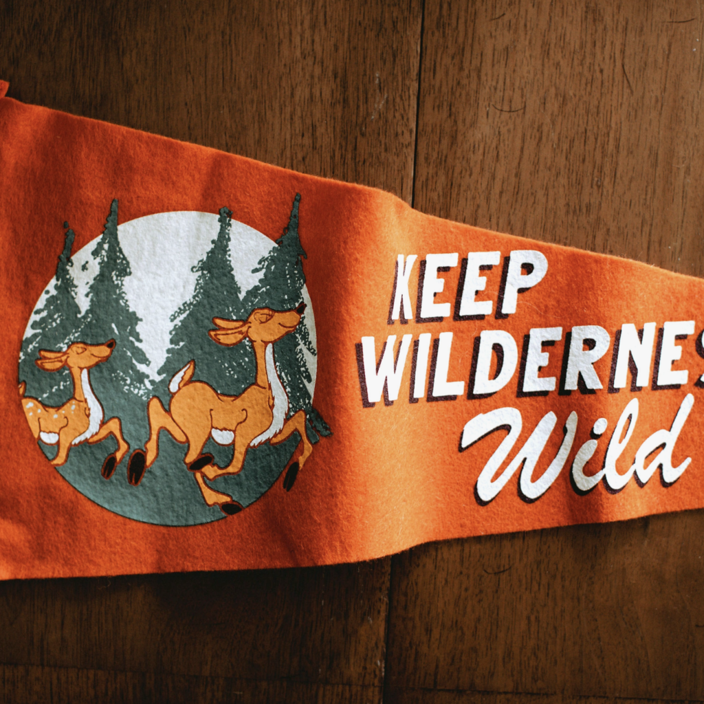 Keep Wilderness Wild Pennant