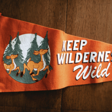 Good & Well Supply Co. Keep Wilderness Wild Pennant