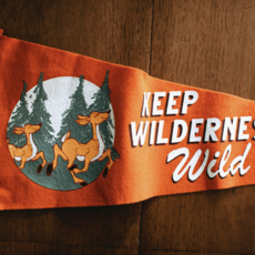 Keep Wilderness Wild Pennant