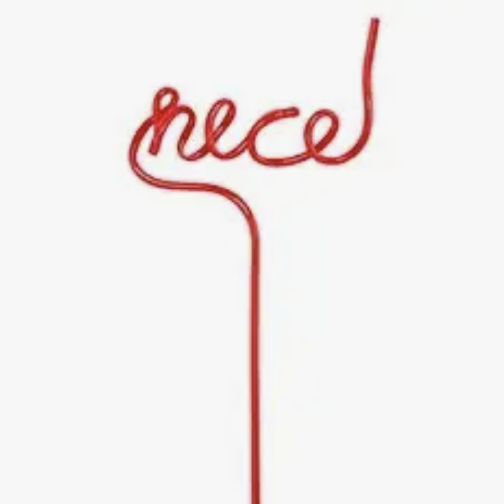 Santa Barbara Design Studio by Creative Brands Word Straw - Nice