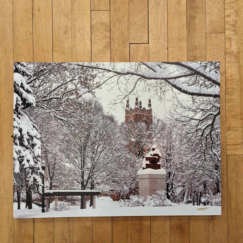 Lloyd Fleig Canvas Print - Winter in Randall Park 18x24