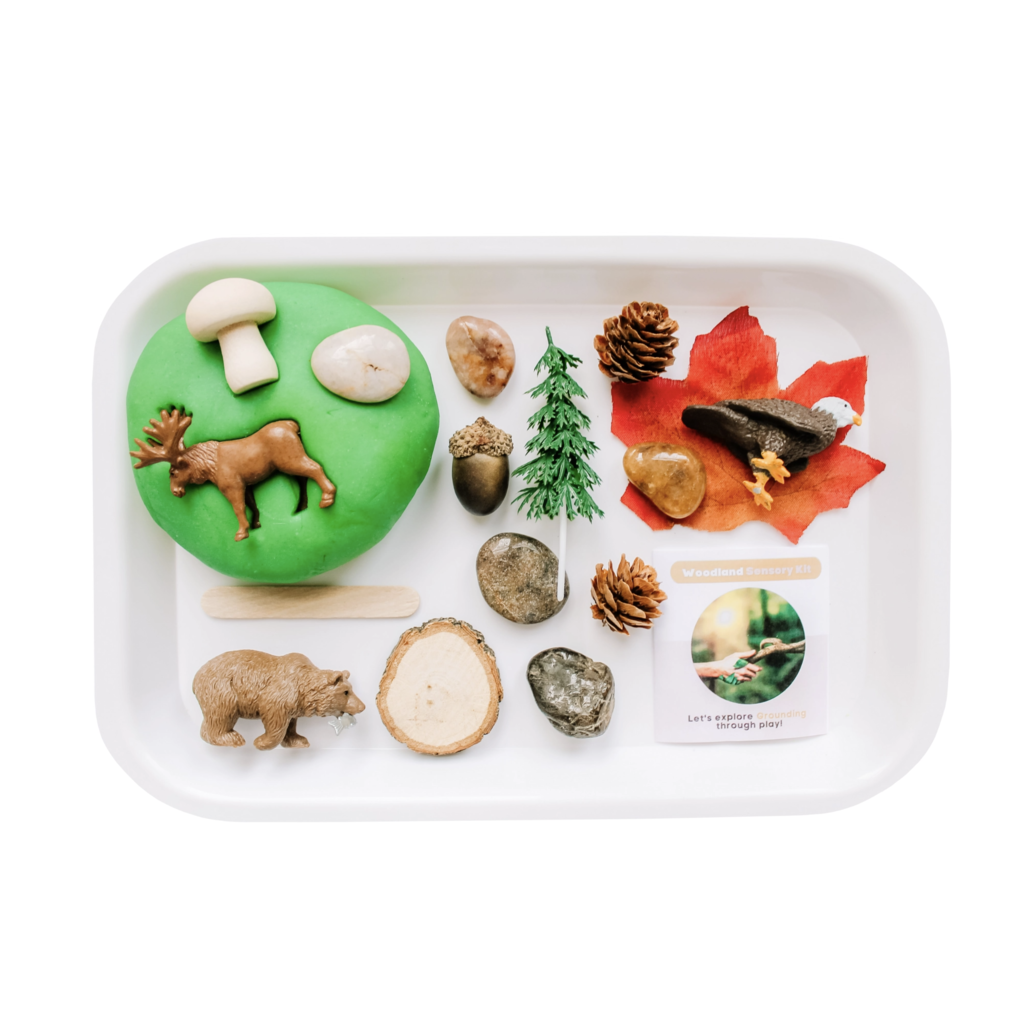 Woodland Sensory Kit - Play Dough