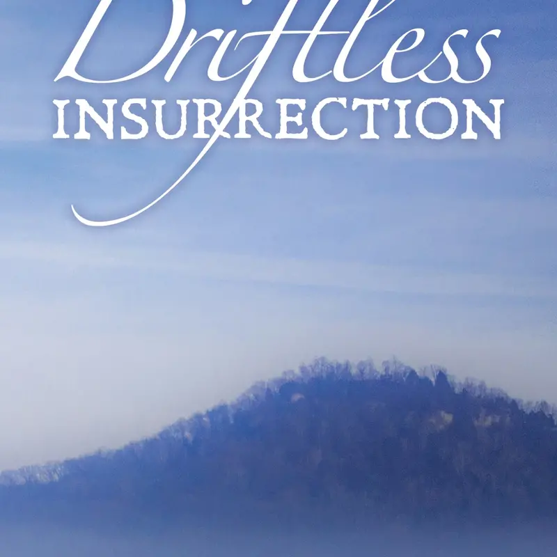 Sue Berg Driftless Insurrection